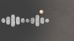 Реальный разговор: Европа правеет неспеша
