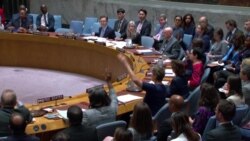 Совет Безопасности ООН поддержал предложенный США план по прекращению боевых действий в секторе Газа