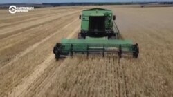 17 июля истекает срок действия "зерновой сделки", которую заключили Украина, Россия, Турция и ООН. Будет ли она продлена?