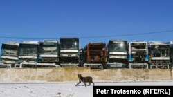 "Кладбище автобусов" в поселке Алатау в пригороде Алматы. Январь 2024