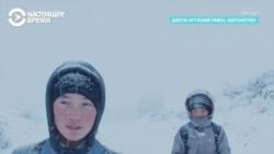 "Волки боятся, когда много людей, поэтому мы никогда детей не отправляем поодиночке в школу"