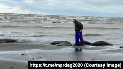 Фото: телеграм-канал Министерства природных ресурсов и экологии Республики Дагестан