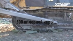 Похороны икры