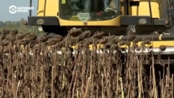 Как работают украинские фермеры на линии фронта