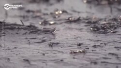 Гринпис: экология в России за 25 лет сильно ухудшилась