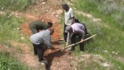 Азия: аномально теплая зима в Таджикистане