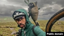 Софиан Сехили