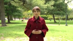 Итоги: общество иммунного расслоения