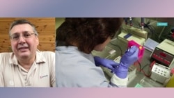 Итоги: американский парадокс