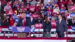 Илон Маск и другие в команде Трампа: кто и какие посты получит в новой администрации