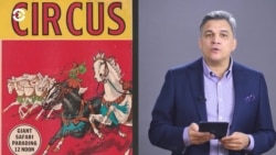 Балтия. Неделя: Латвия и Эстония запретили цирки с животными, Литва на очереди