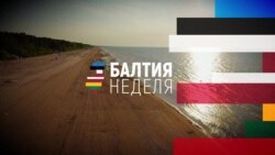 Балтия: "Ёж" ощетинился в Эстонии