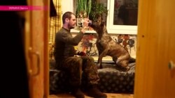 Как Одесса спасала собаку солдата-добровольца