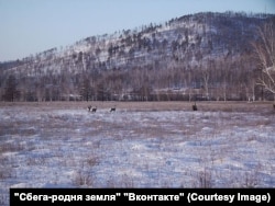 В окрестностях поселка